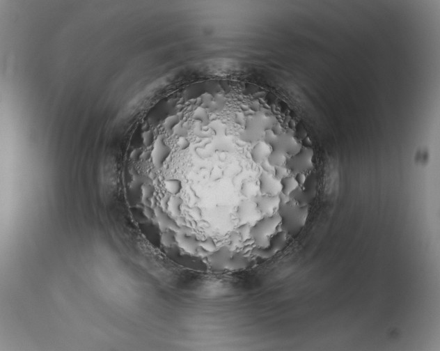X0000114000569200910021319