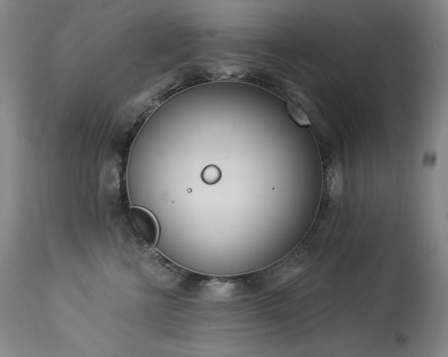 X0000114000570200910021319