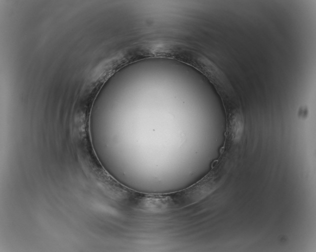 X0000114000571200910021319