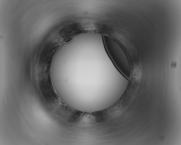 X0000114000572200910021319