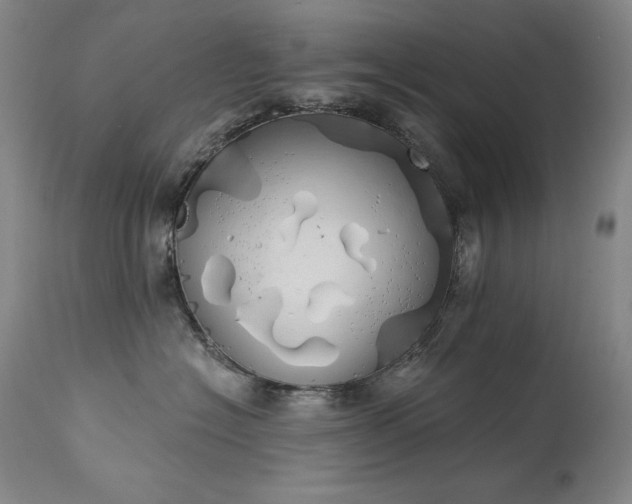 X0000114000574200910021319