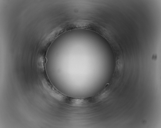 X0000114000575200910021319