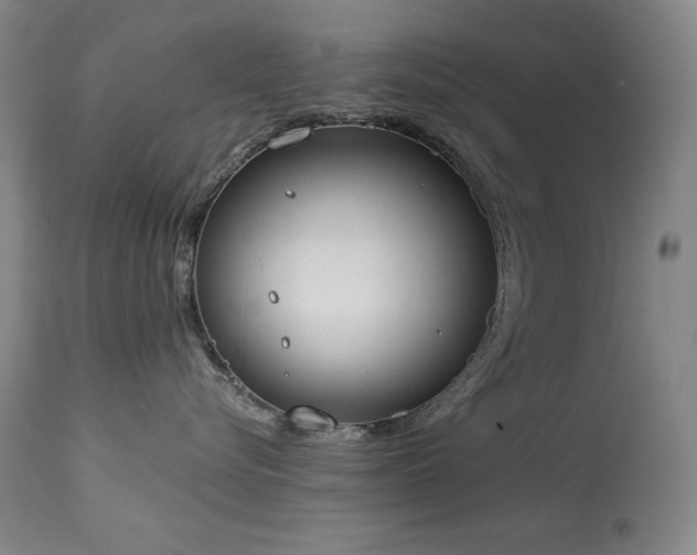 X0000114000576200910021319