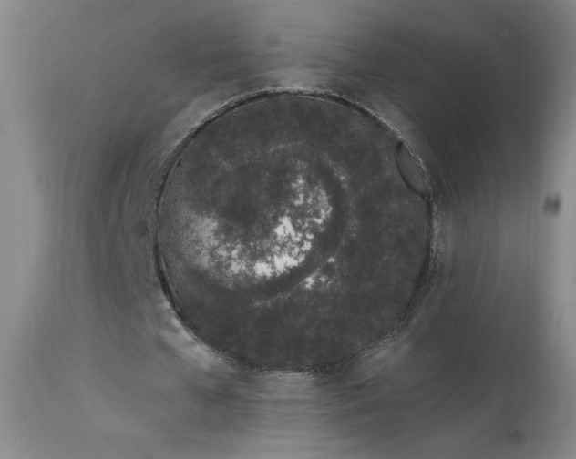 X0000114000577200910021318