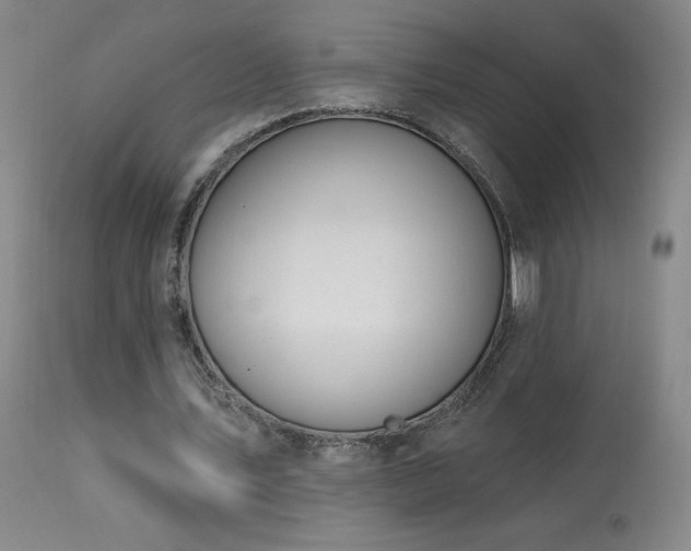 X0000114000579200910021318