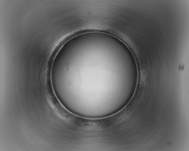X0000114000580200910021318