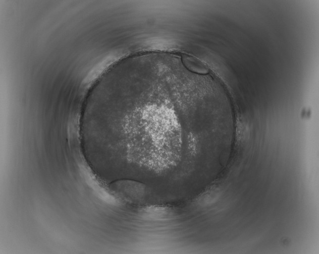 X0000114000581200910021318