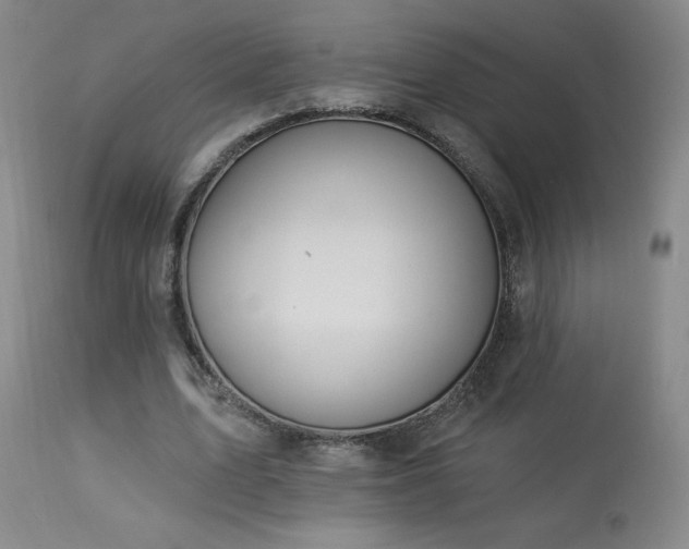 X0000114000583200910021318