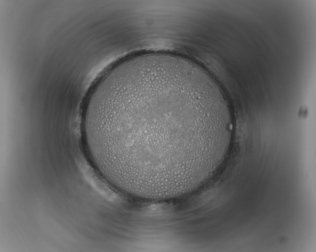 X0000114000584200910021318