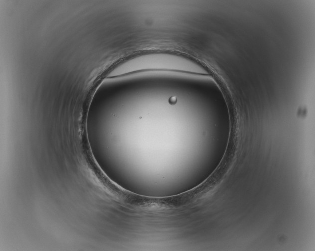 X0000114000585200910021318