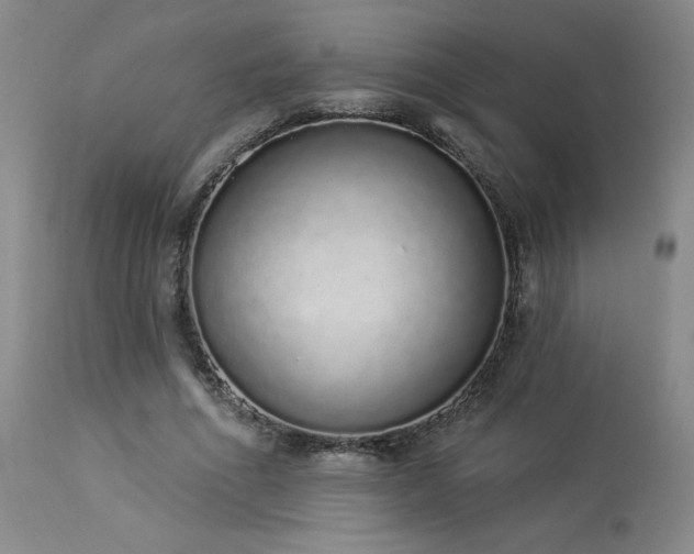 X0000114000586200910021318