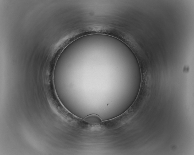 X0000114000587200910021318