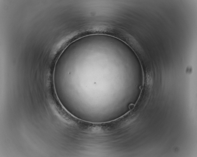 X0000114000588200910021318