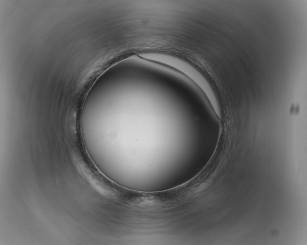 X0000114000589200910021318
