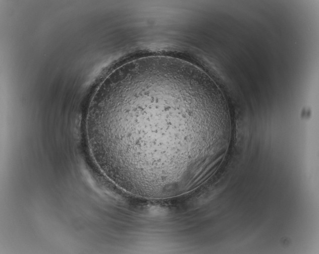 X0000114000592200910021318