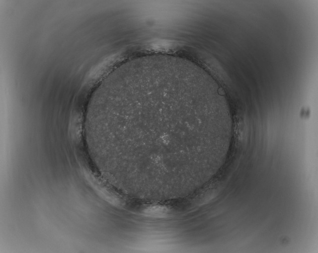 X0000114000593200910021318