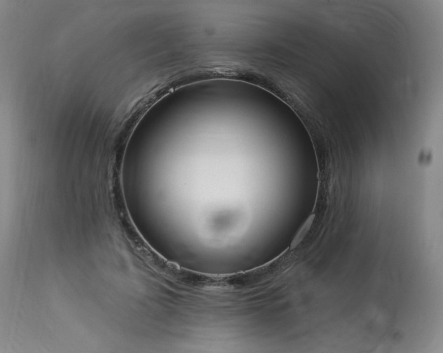 X0000114000595200910021318