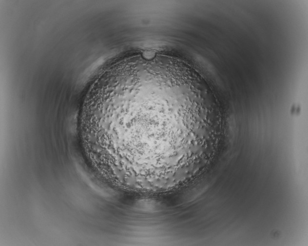 X0000114000596200910021318