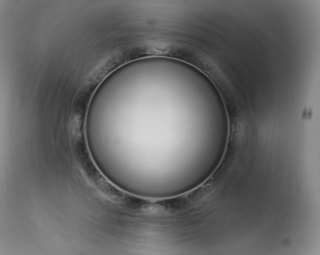 X0000114000598200910021318