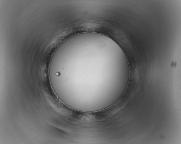 X0000114000599200910021318