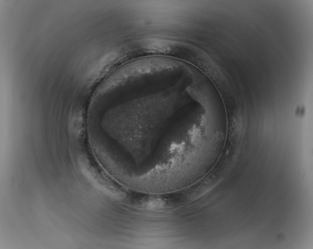 X0000114000600200910021318