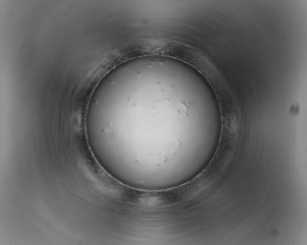 X0000114000602200910021318
