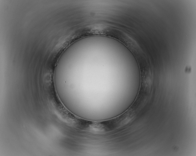 X0000114000603200910021318
