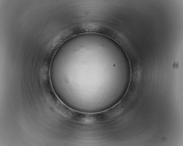 X0000114000604200910021317