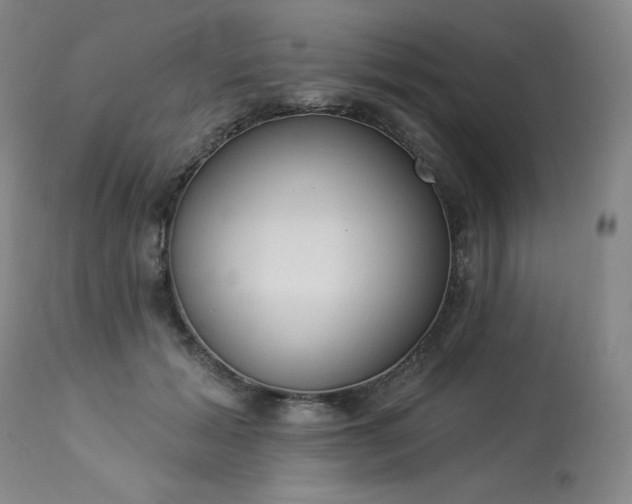 X0000114000605200910021317