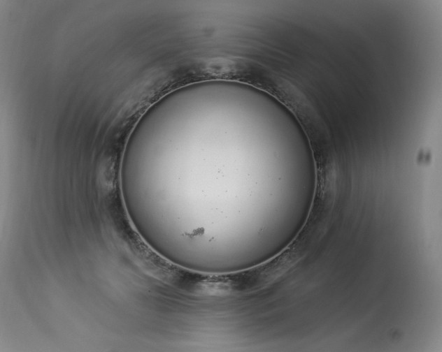 X0000114000606200910021317