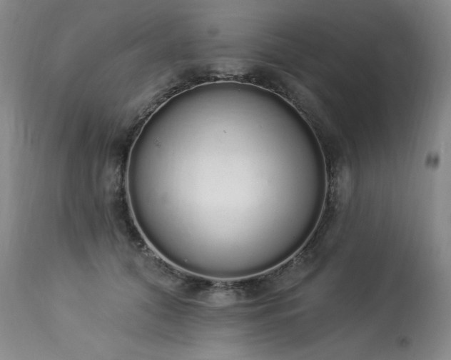 X0000114000608200910021317