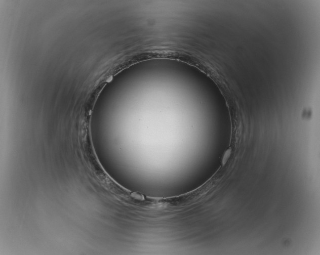 X0000114000609200910021317