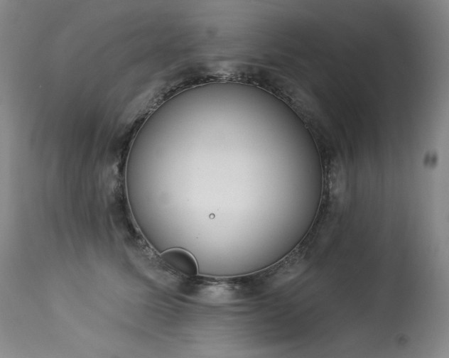 X0000114000611200910021317