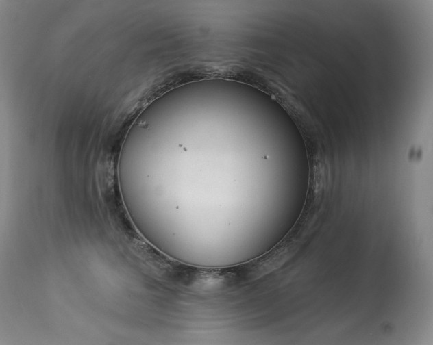 X0000114000613200910021317