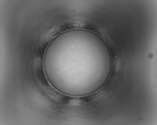 X0000114000614200910021317