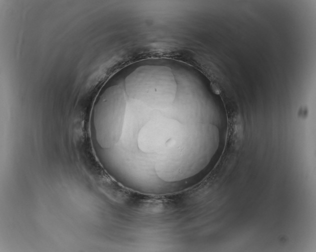 X0000114000615200910021317