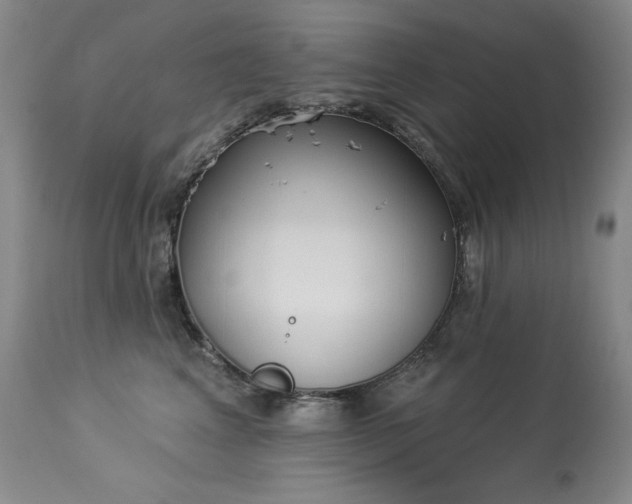 X0000114000617200910021317
