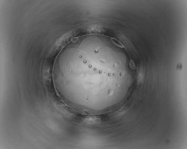 X0000114000619200910021317