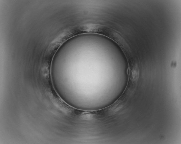 X0000114000620200910021317