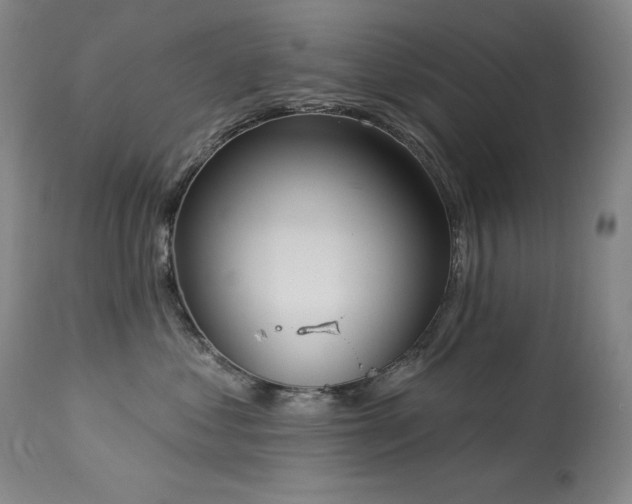 X0000114000621200910021317