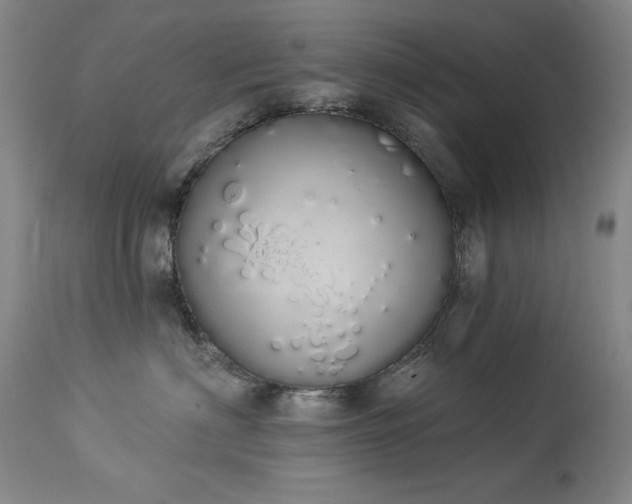 X0000114000622200910021317