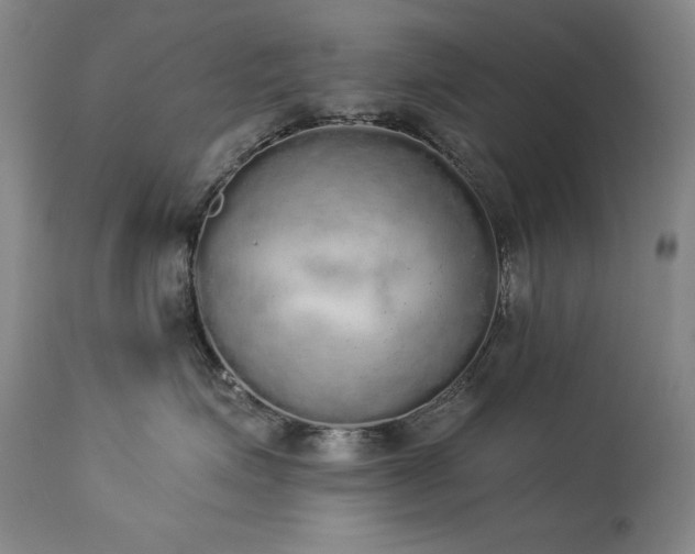 X0000114000623200910021317