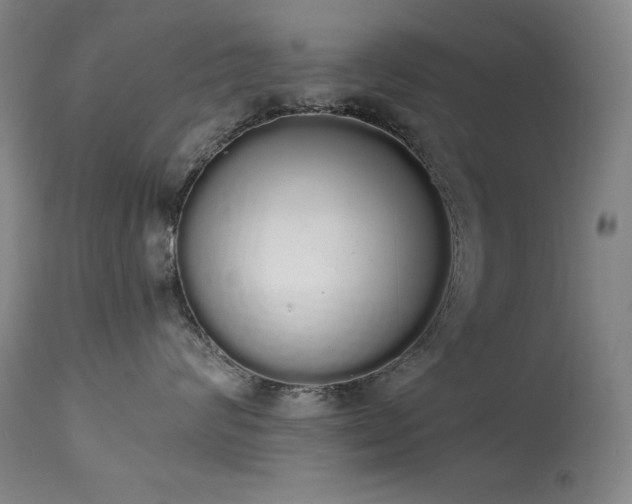 X0000114000624200910021317