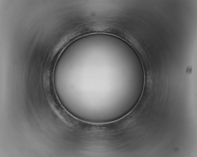 X0000114000626200910021316