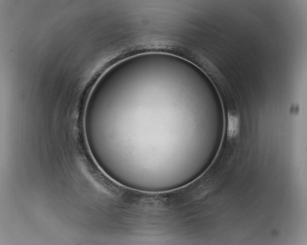 X0000114000627200910021316