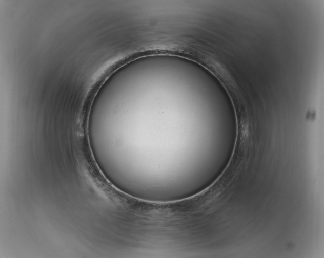 X0000114000628200910021316