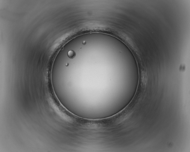 X0000114000629200910021316