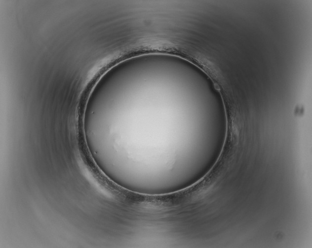 X0000114000630200910021316