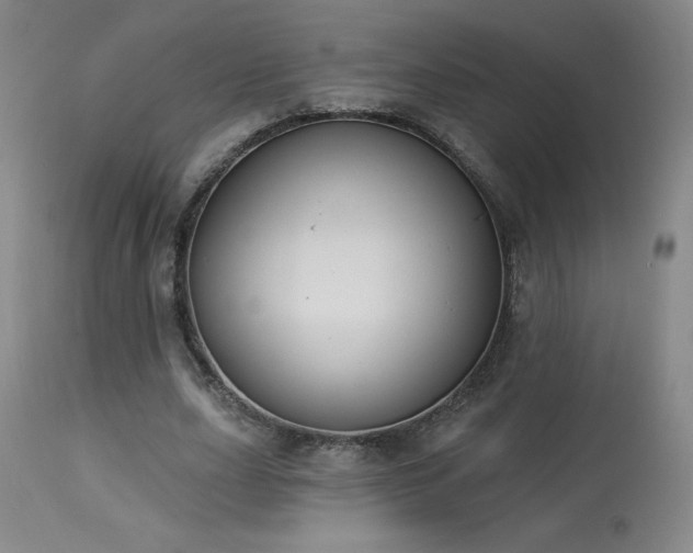 X0000114000631200910021316