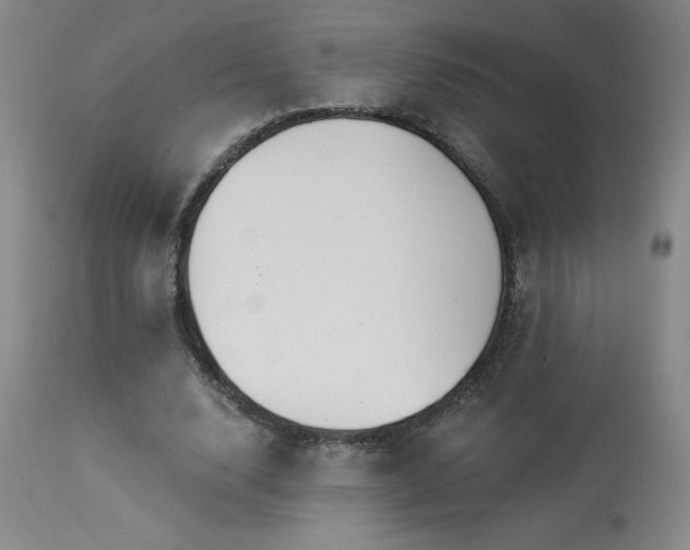 X0000114000632200910021316